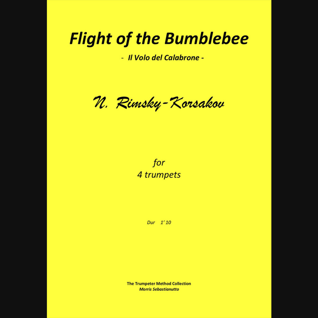 Flight of the Bumblebee N. Rimsky Korsakov Morris Sebastianutto